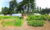 Organic Farm