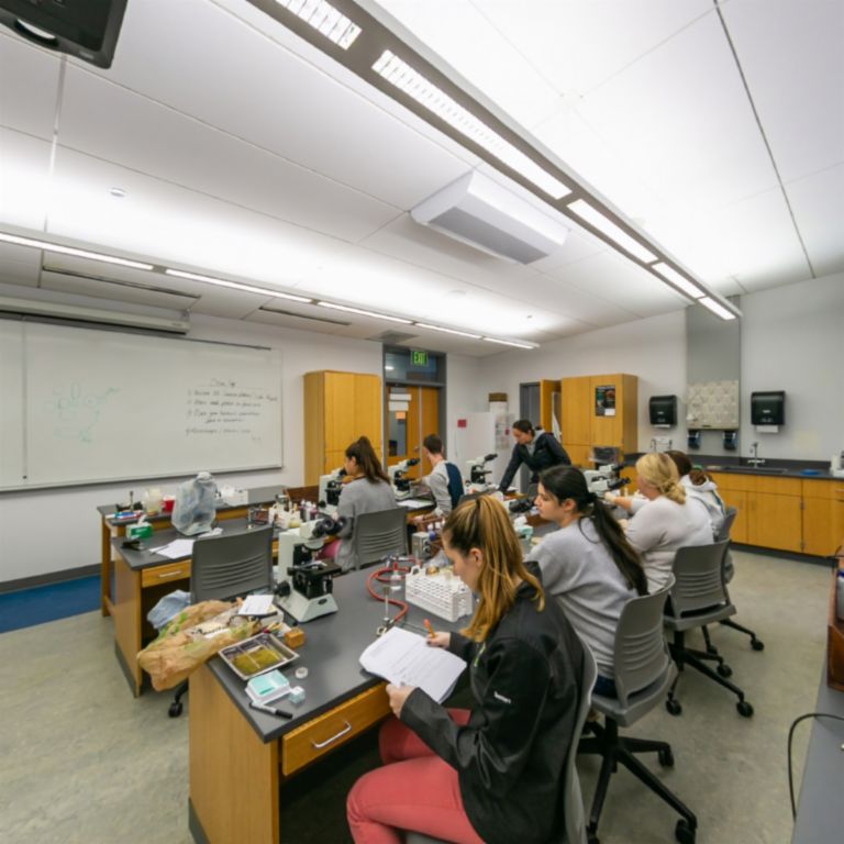 Experience Le Moyne College in Virtual Reality. Press Alt plus A for ...