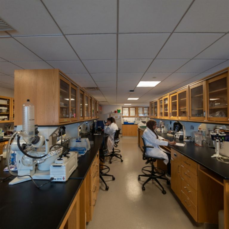 Experience CUNY Borough of Manhattan Community College in Virtual