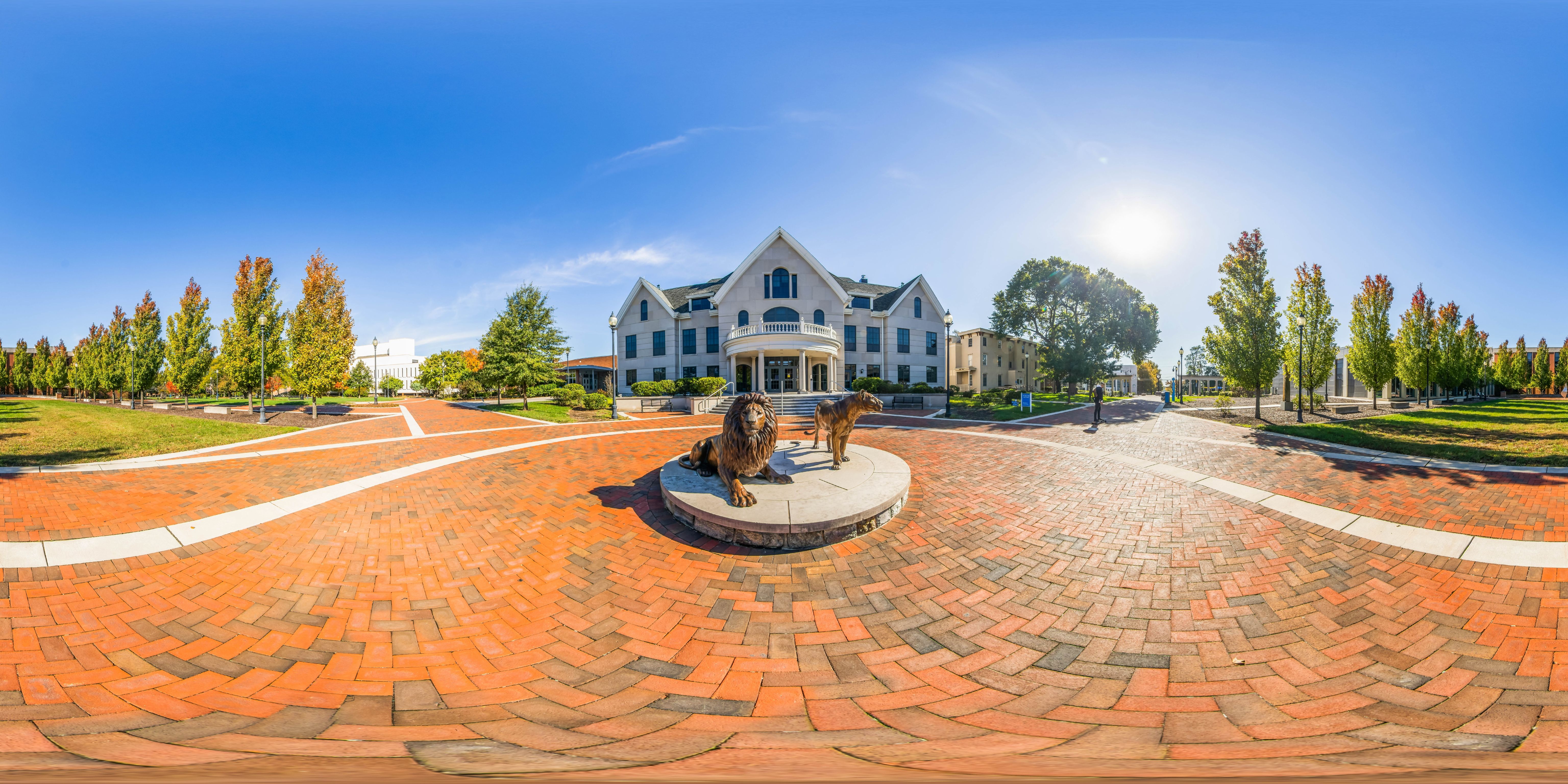 Experience immersive content