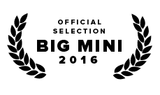 Big_Mini_2016